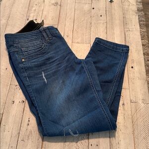 Democracy Women's Blue Jeans Skinny Ankle Elastic‎ Waist Size 8